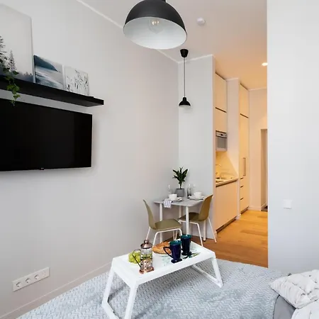 Apartment Modern Design In Center